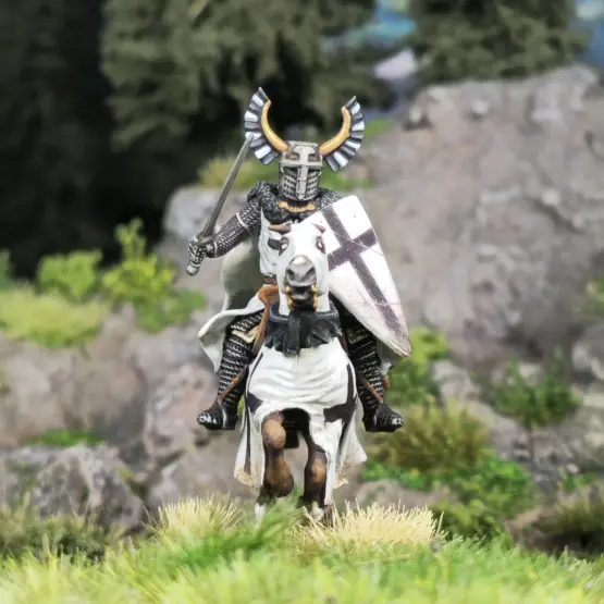 Victrix: Teutonic Knights (Ordensstaat) (12) - Image 6